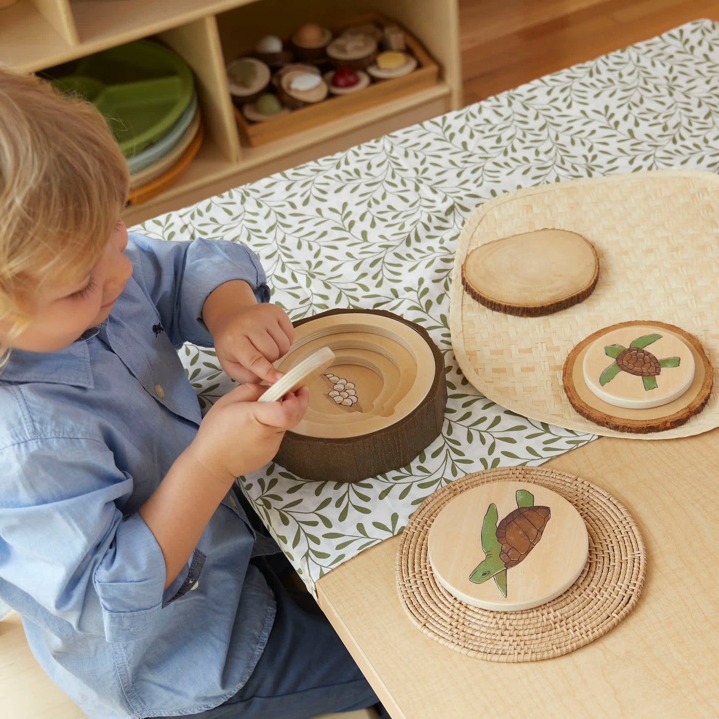 Lifecycle Puzzles - Set of 3