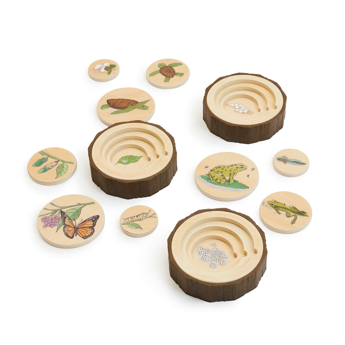 Lifecycle Puzzles - Set of 3