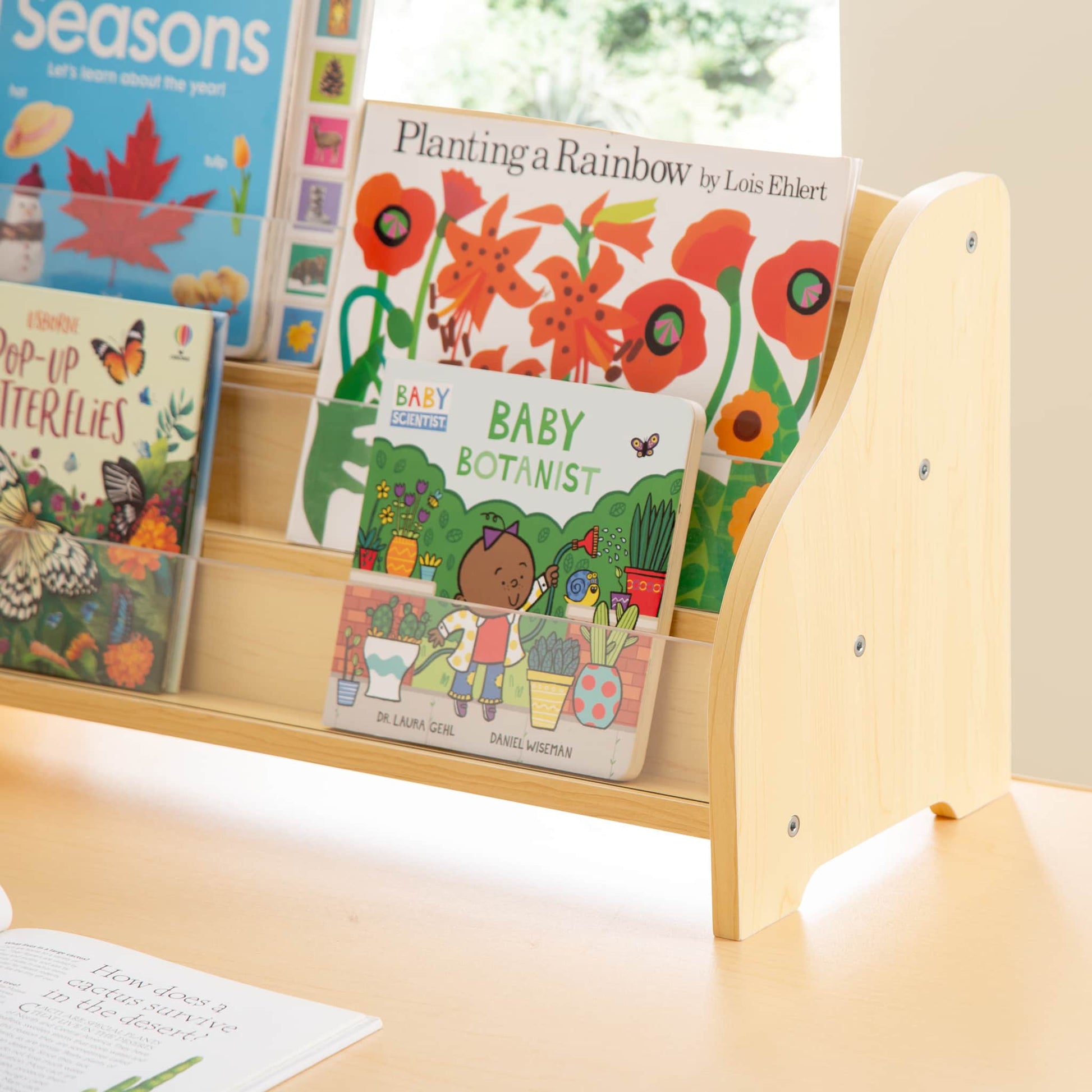 Tabletop Book Display
