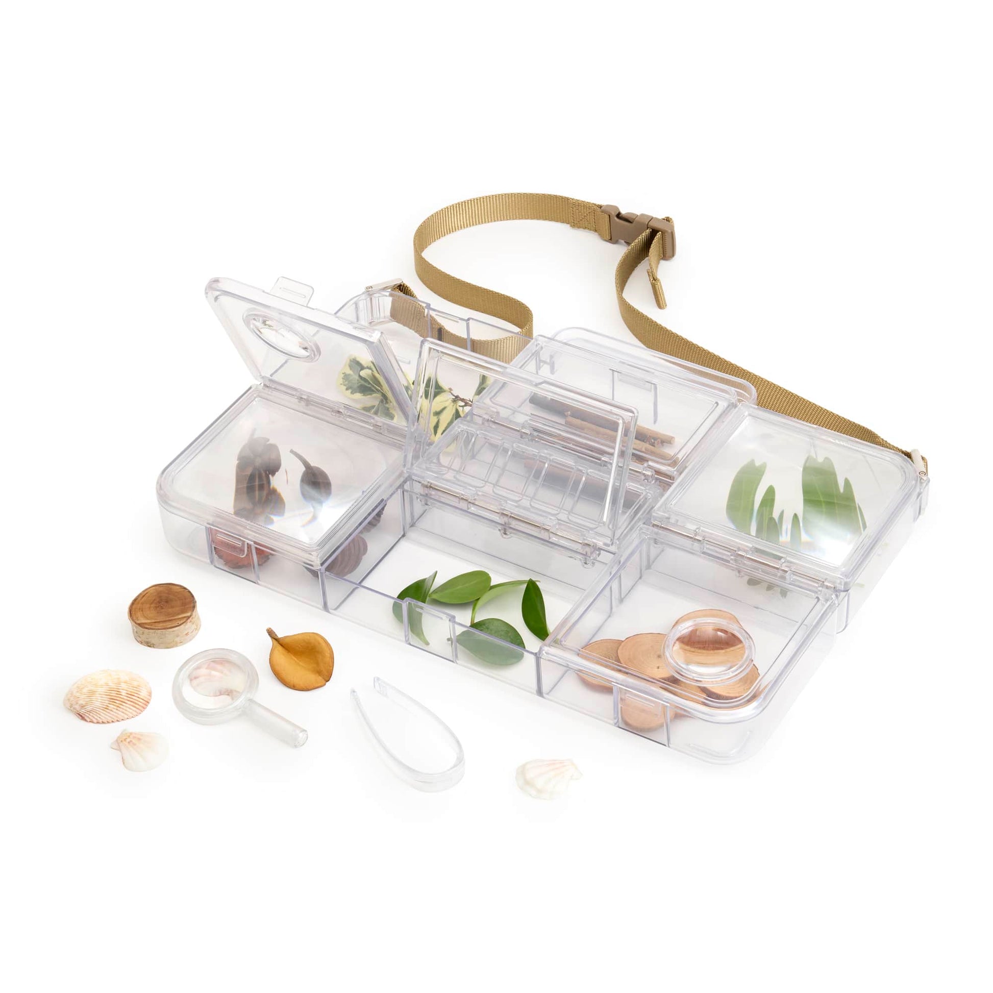 Traveling Treasures Discovery Lab