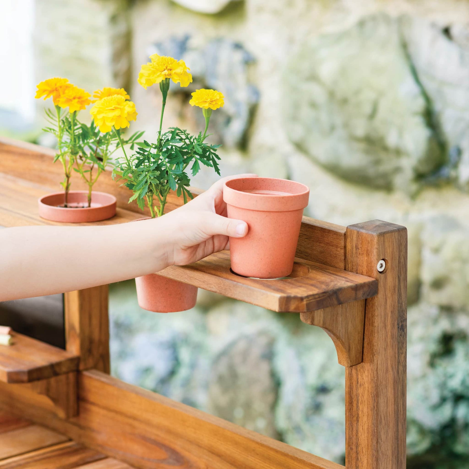 Martha Stewart Kids' Outdoor Gardening Tools and Pots