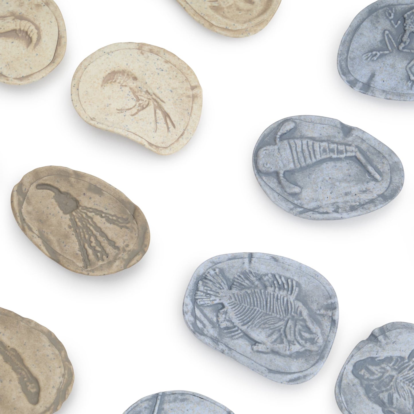 Magnetic Matching Fossil Stones: Aquatic Life - Set of 8