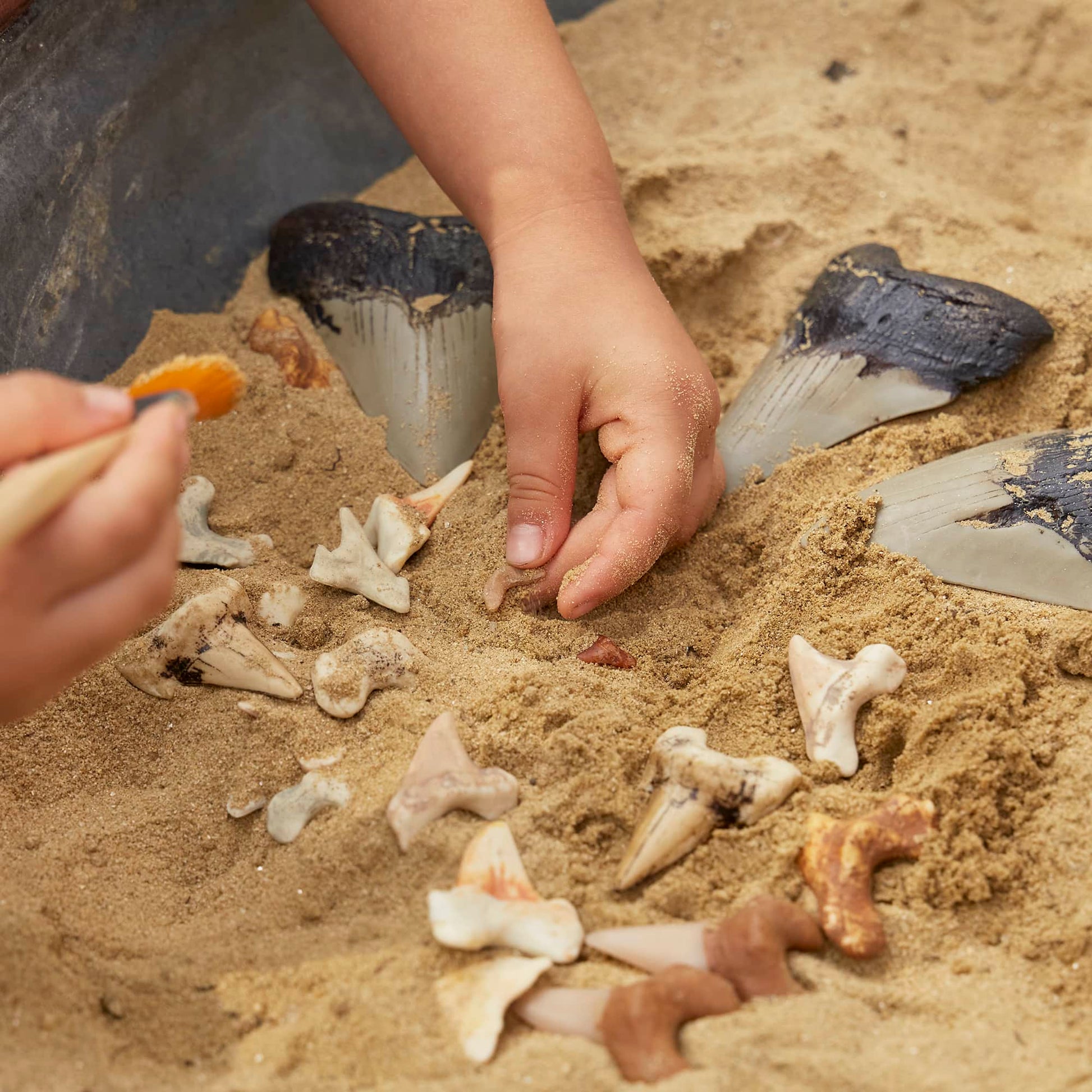 Super Shark Teeth Set - 40 pieces