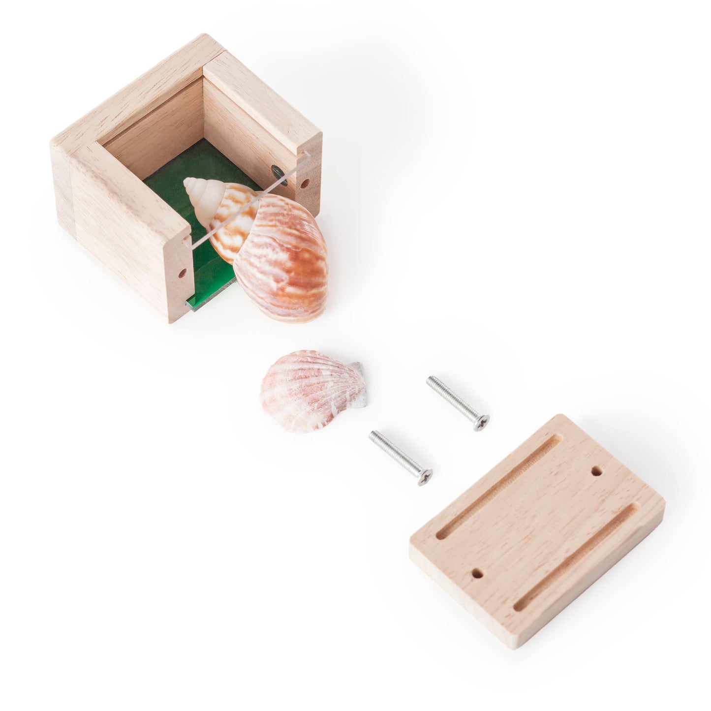 Treasure Blocks