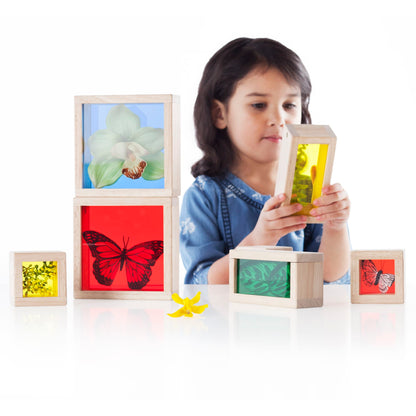 Treasure Blocks