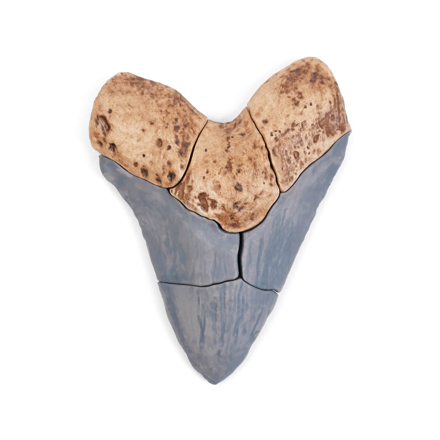 Magnetic Fossil 3D Puzzle