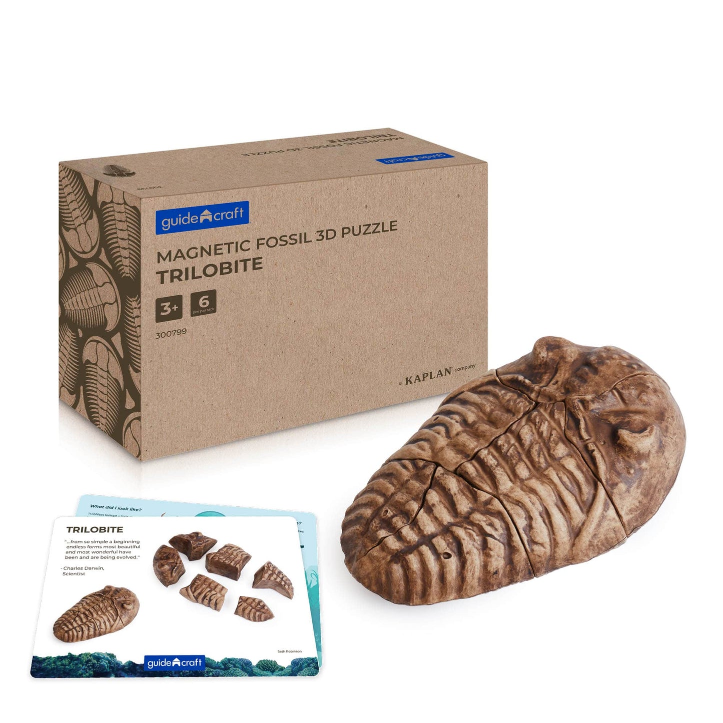 Magnetic Fossil 3D Puzzle
