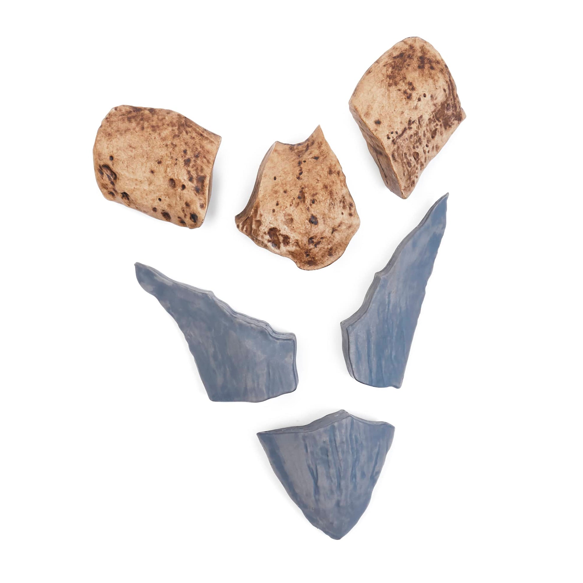 Magnetic Fossil 3D Puzzle