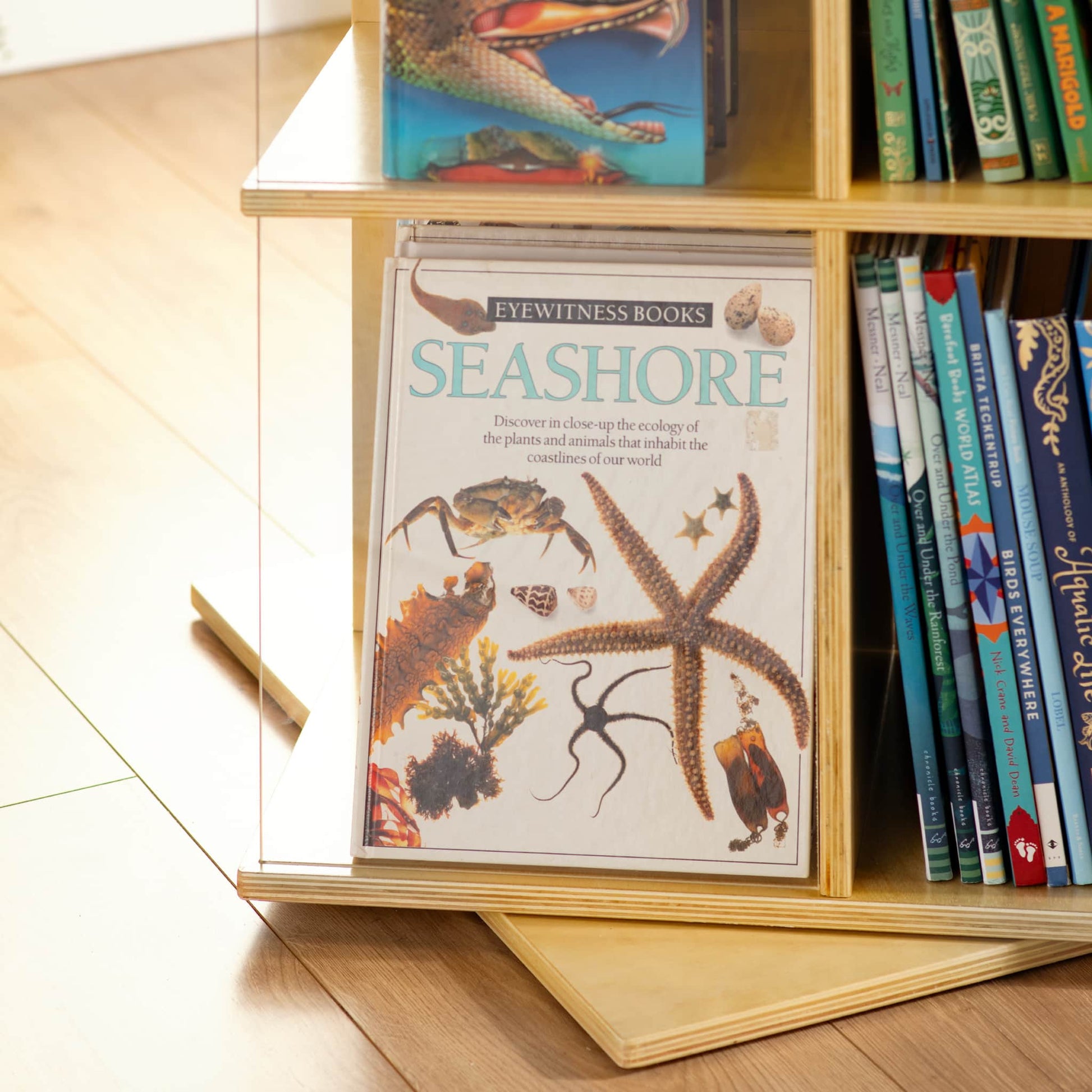 EdQ Rotating Big Book Display