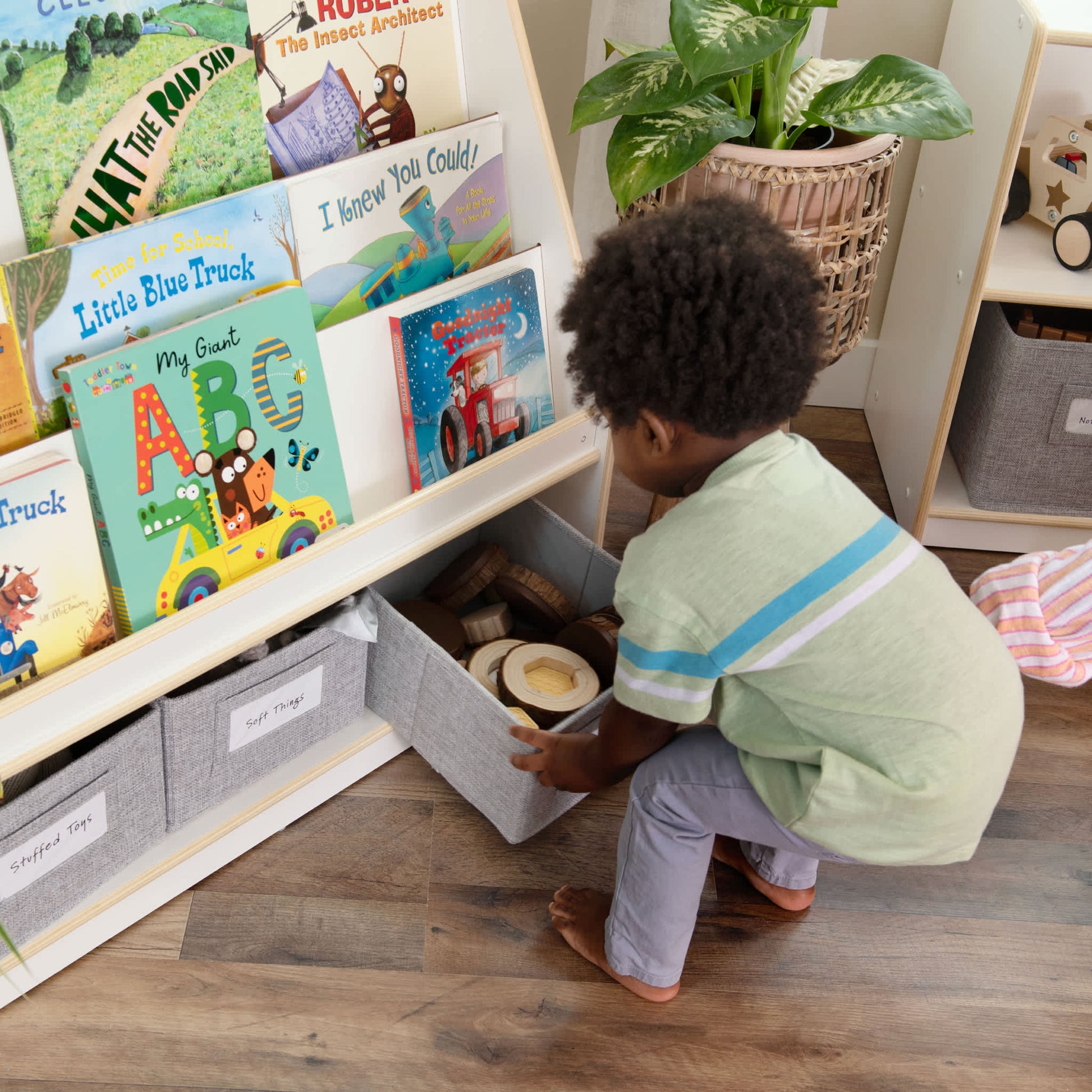 EdQ Book and Bin Display